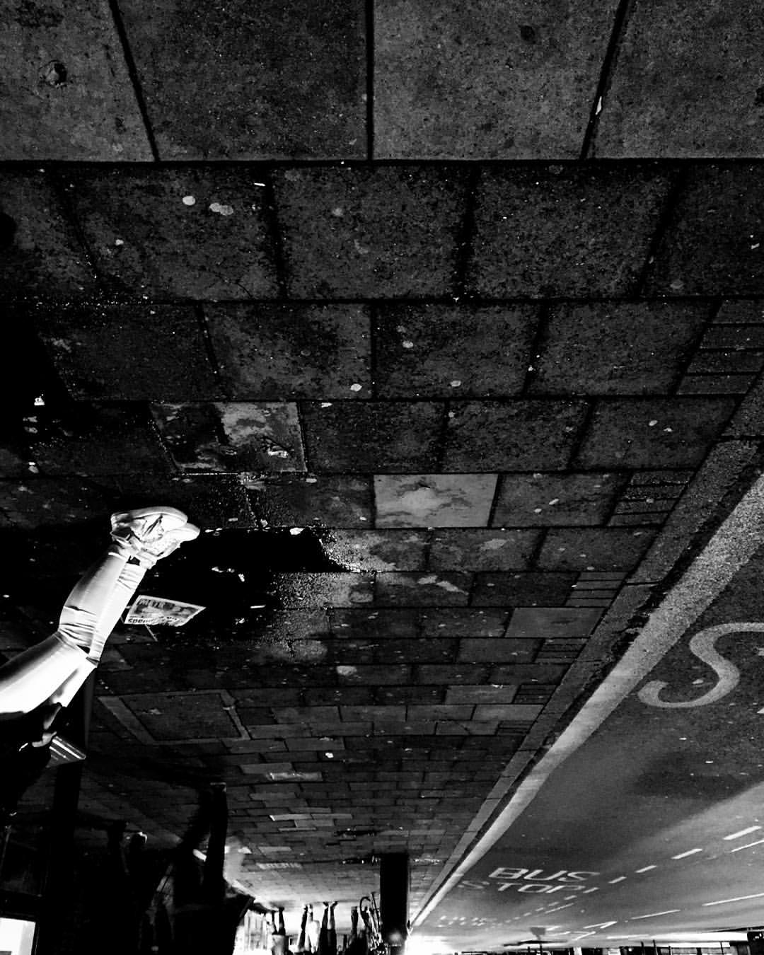 12191322_1022689974418296_226097290666770591_o